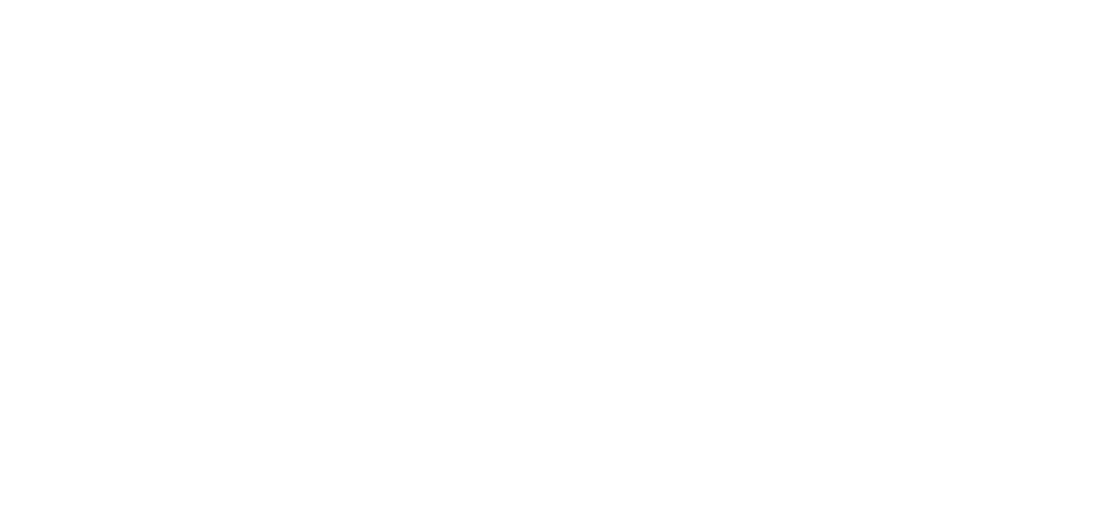 NLZ Snowboard FS